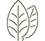 Holistic Therapies Best Naturopathy Centres In India 